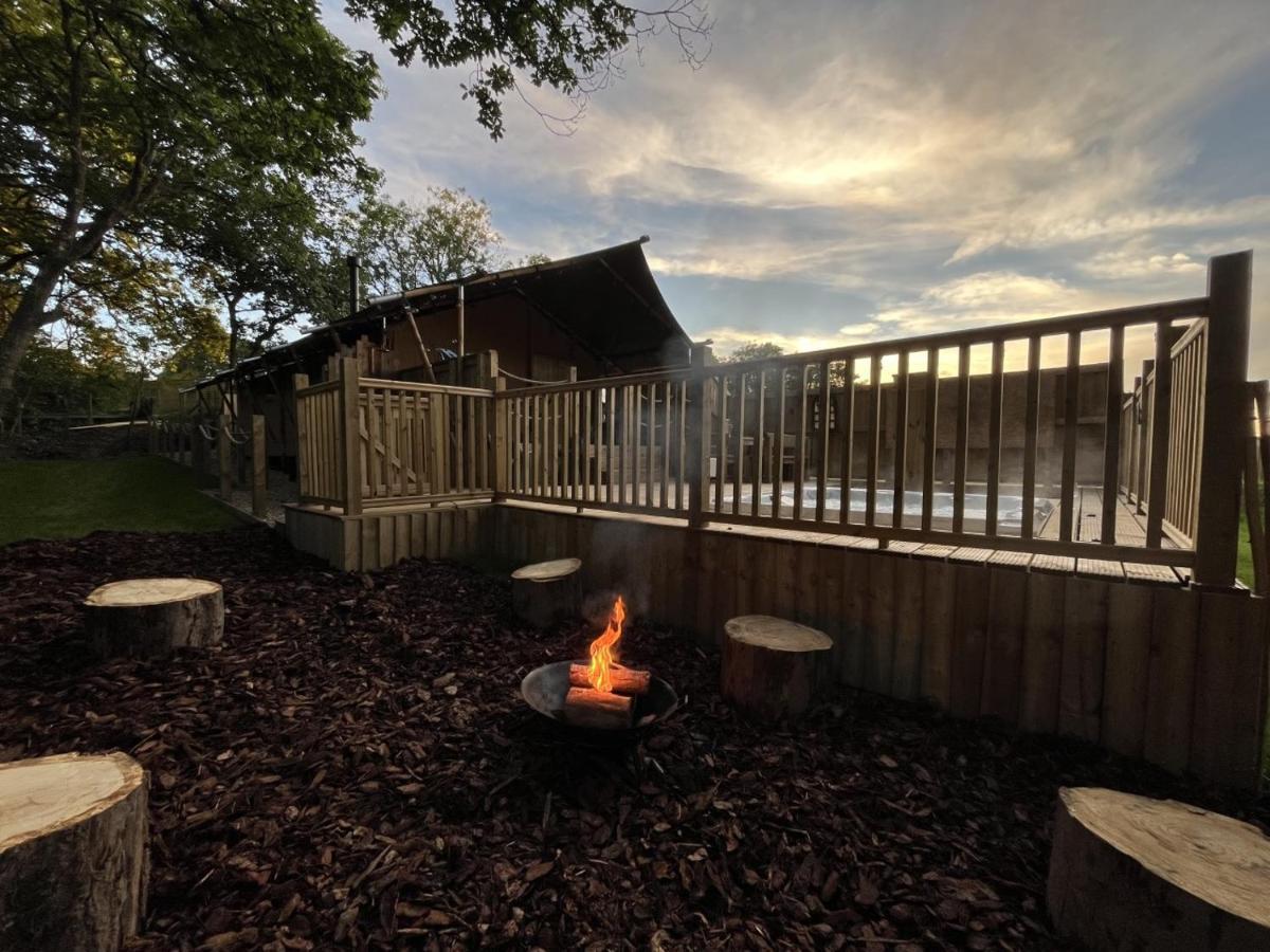 Robin Hood Safari Tent Роскошный шатер *